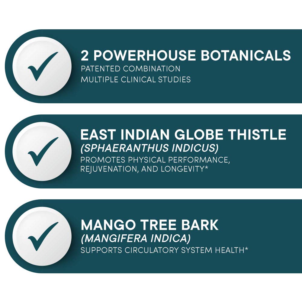East Indian Globe Thistle ingredient featured in Purity's Muscle Accelerator