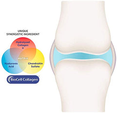 Purity Products Olive Fruit Extract visual; antioxidant cofactor for joints.