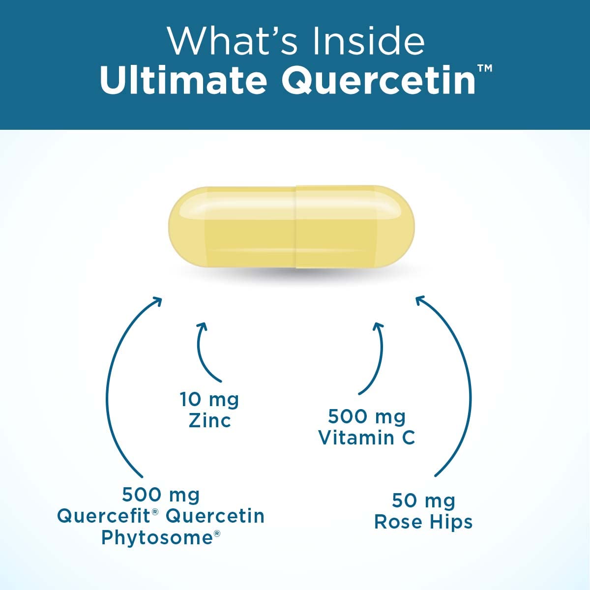 Quercefit phytosome technology graphic from Purity Products showing enhanced absorption