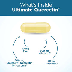 Quercefit phytosome technology graphic from Purity Products showing enhanced absorption