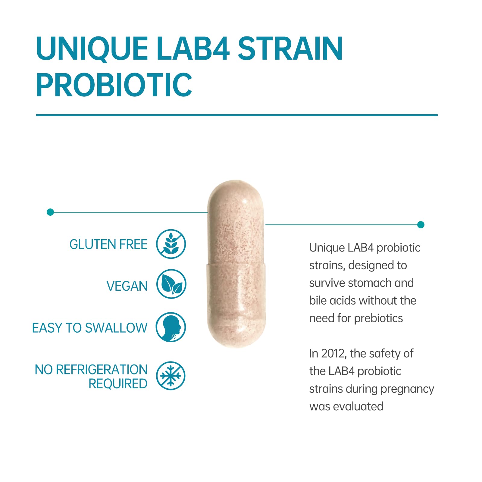 Purmeo probiotic capsules on a clean kitchen backdrop for everyday use