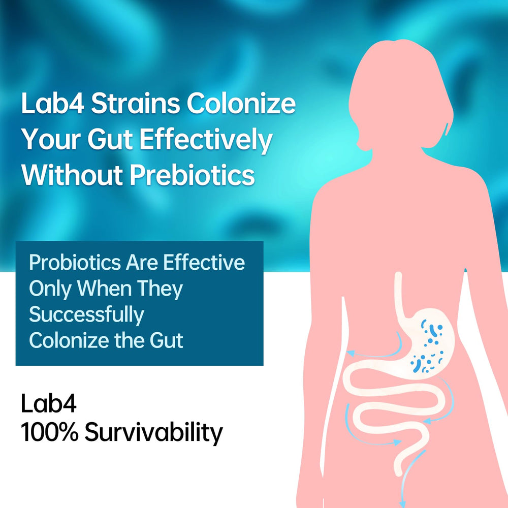 Purmeo StabilityMax logo emphasizing shelf-stable probiotic formula