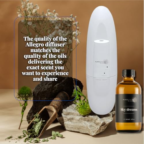 Compact travel-size Allegro design fits luggage and small rooms.