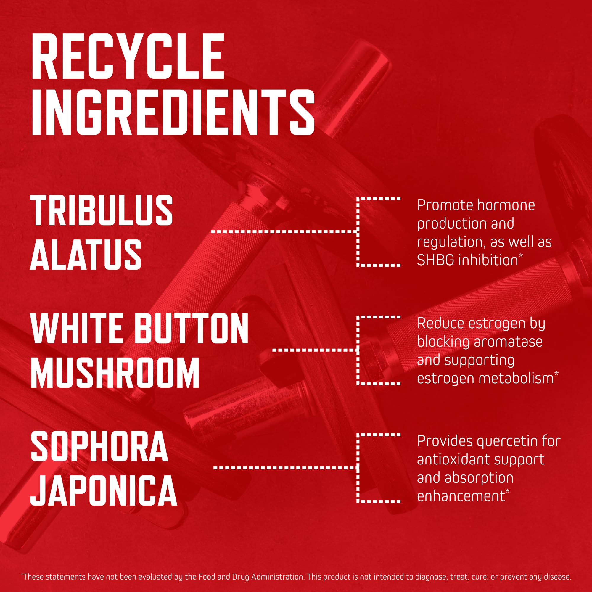 Shaker bottle with Purus Labs Recycle, convenient daily supplementation