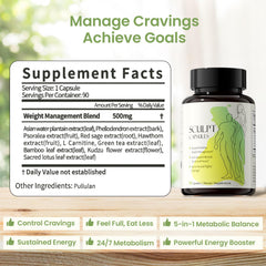 PUTRIZEN energy-support capsules pictured for daytime activity and focus