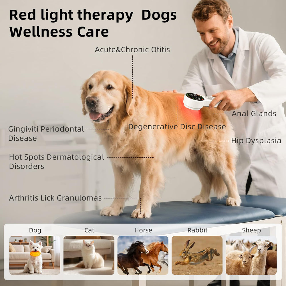 Qirelle red light therapy visible spectrum image showing 450–660nm benefits.