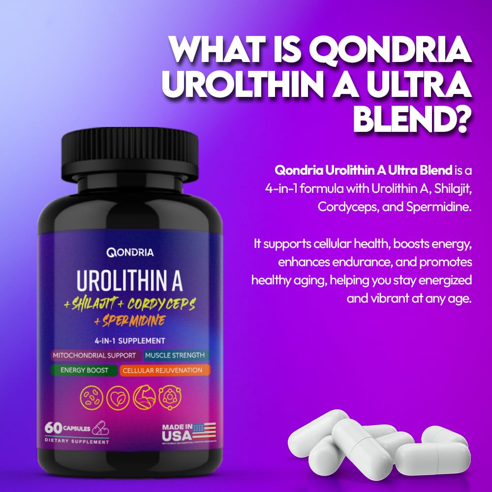QONDRIA Urolithin A capsules close-up showing convenient daily dosing