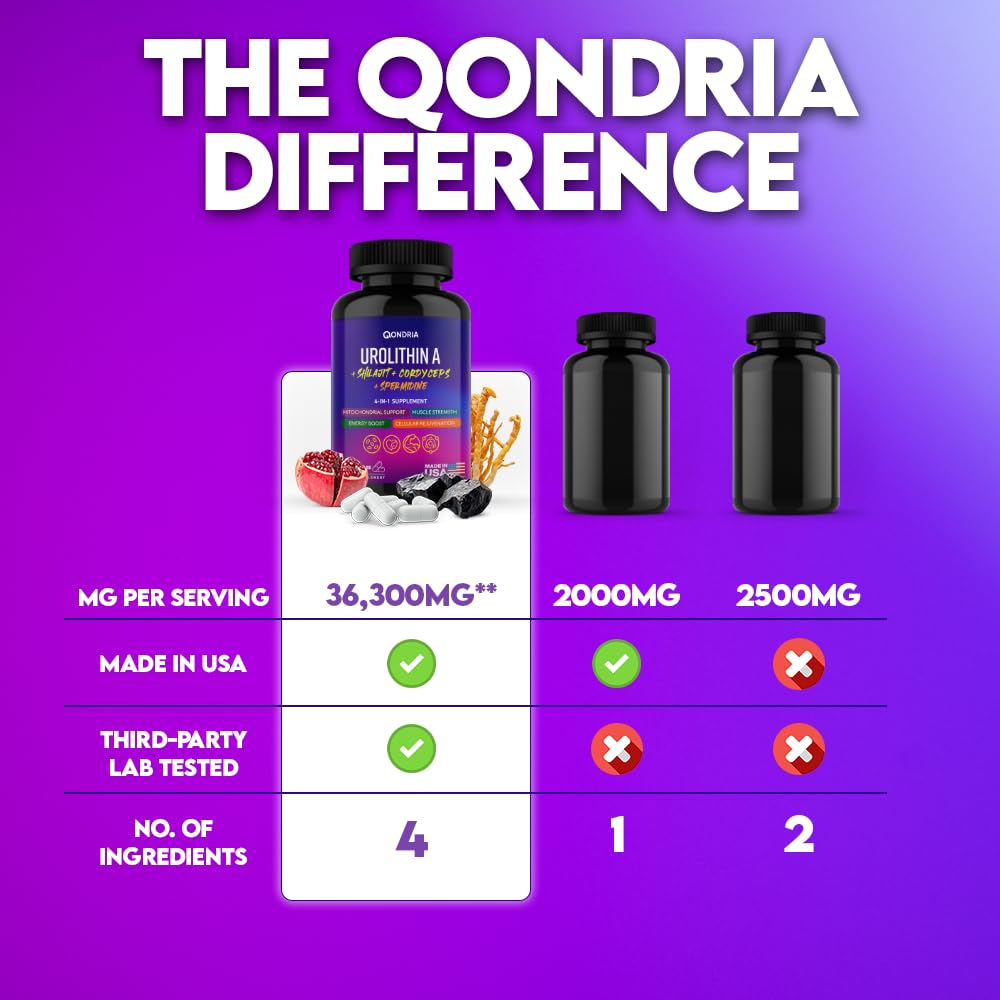 QONDRIA Urolithin A energy-scene illustrating an active lifestyle