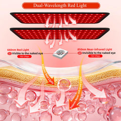 Qtyspdct pulse mode detail illustrates deep light coverage