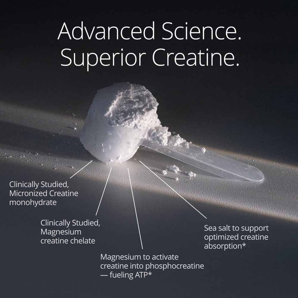 Qualia Creatine+ boosts brain energy and focus under stress
