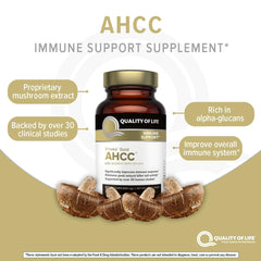 Quality of Life Kinoko Gold AHCC capsule close-up with 500 mg dosage.