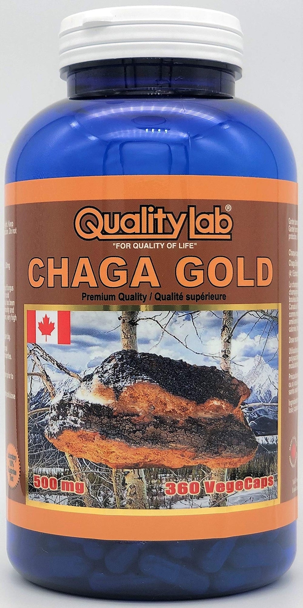 QualityLab Chaga Gold 500 mg bottle with vegecaps supports daily wellness.
