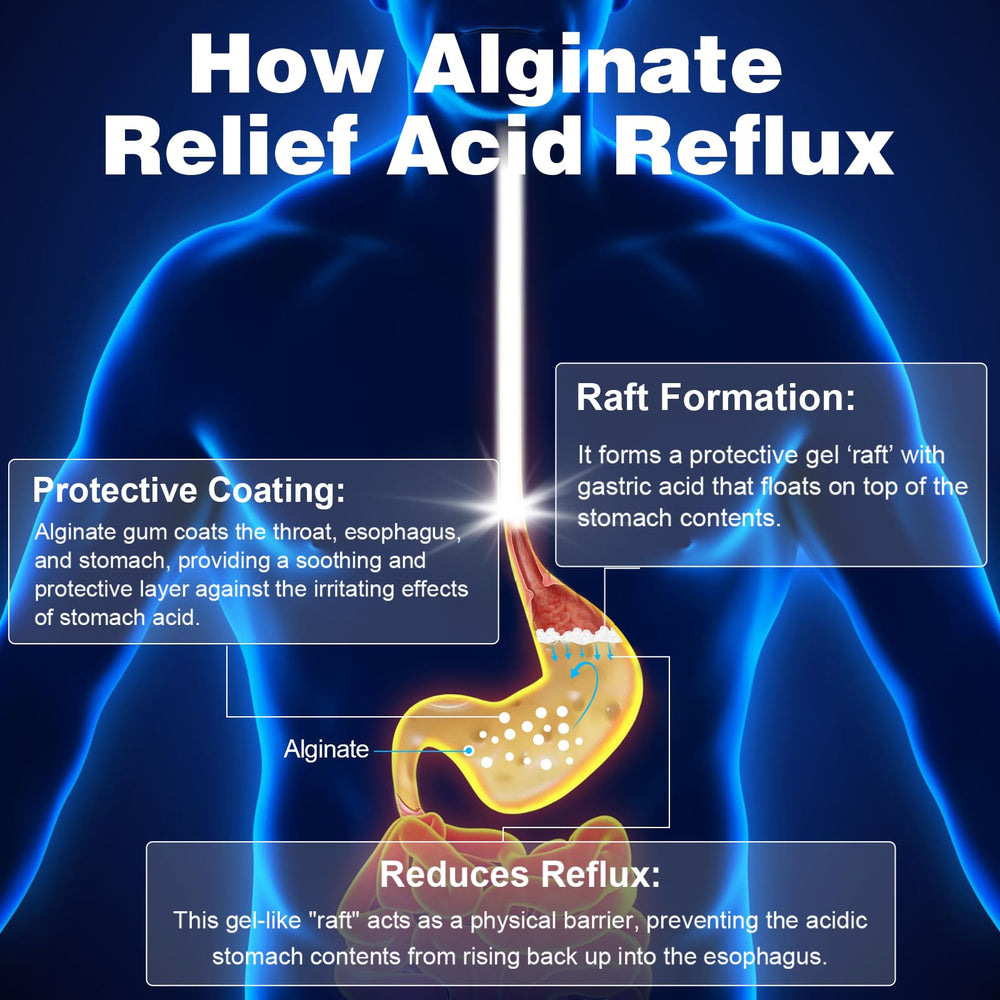 QUBIT Sodium Alginate capsules in-hand suggesting convenient, tasteless support during meals
