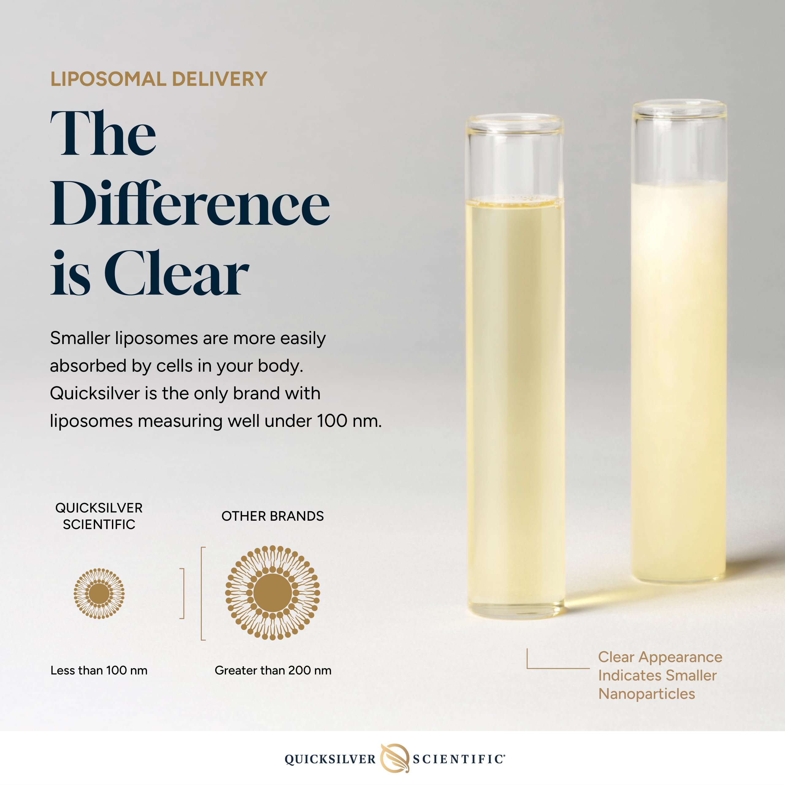 Quicksilver Scientific Hista-Aid ingredient visual highlights quercetin luteolin DIM and vitamin C.