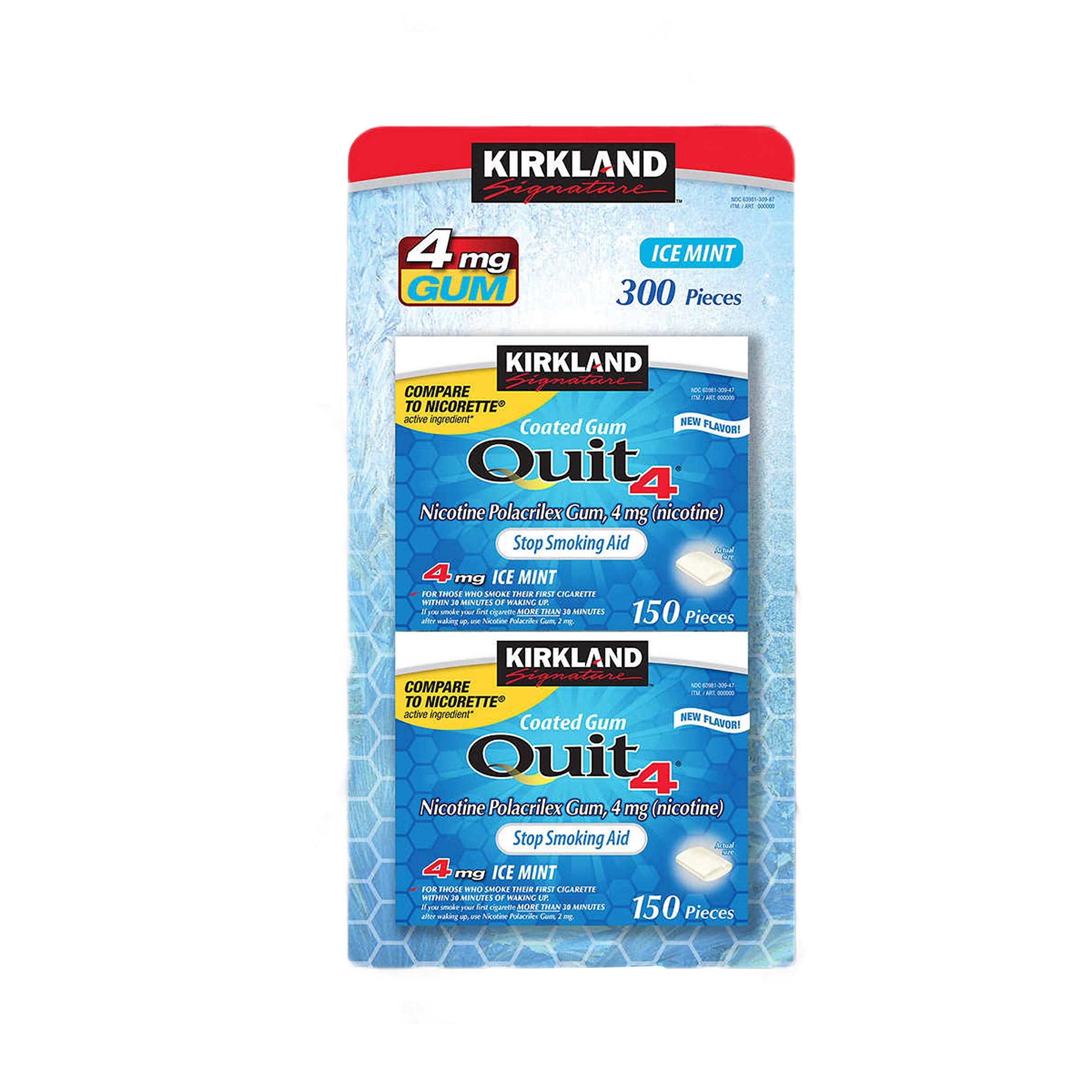 Kirkland Signature Quit Ice Mint gum pack with 300 pieces, convenient quit aid