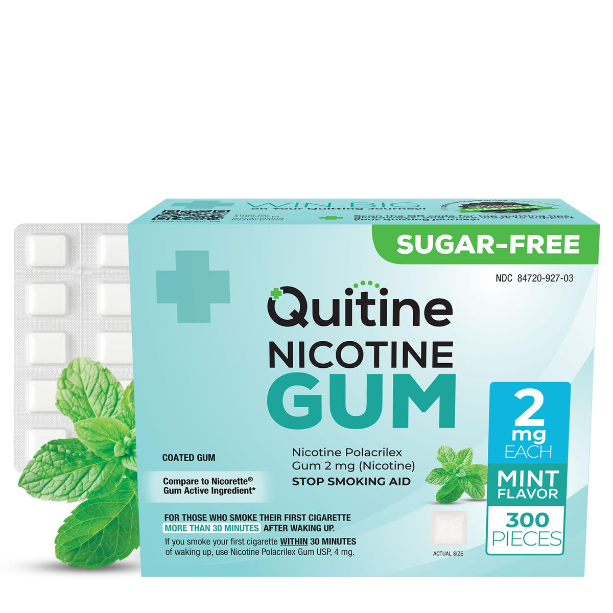 Quitine 2mg mint gum piece offers quick craving relief on the go.