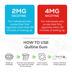 Quitine 4mg Mint gum coating detail emphasizes smooth chew and minty freshness