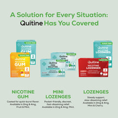 Quitine sugar-free fruit gum shown for a convenient quit journey.