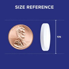 Qunol Brain Health Focus Plus dietary supplement scene for daily routine