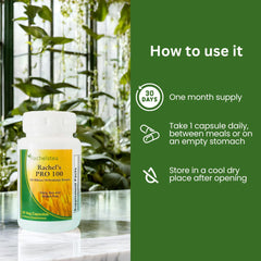 Rachelstea Rachel’s Pro 100 Probiotic capsule demonstrates one-pill-per-day convenience.