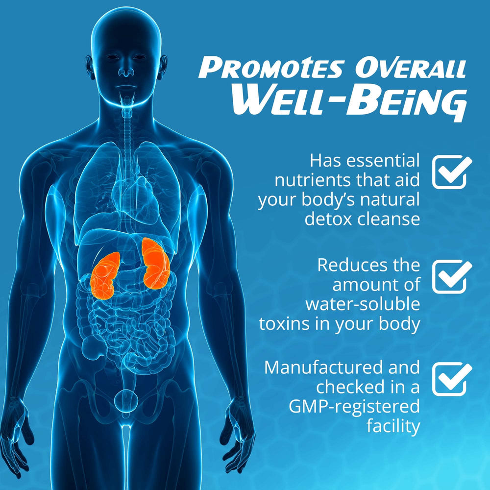 RaDoTech RenActive kidney detox packaging box ready for daily wellness routine