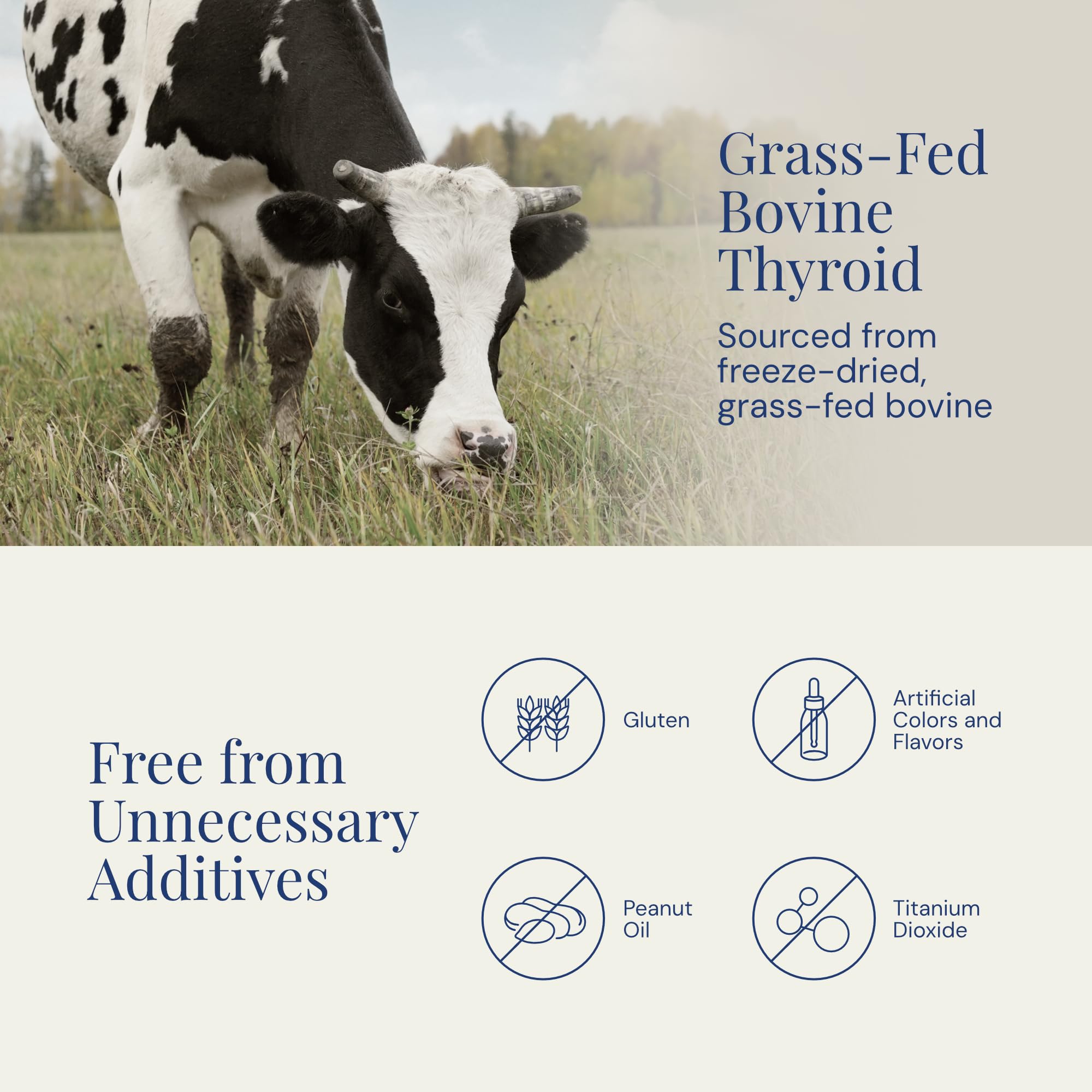 Raena Premium Bovine capsule dispense demonstrates convenient daily supplement routine.