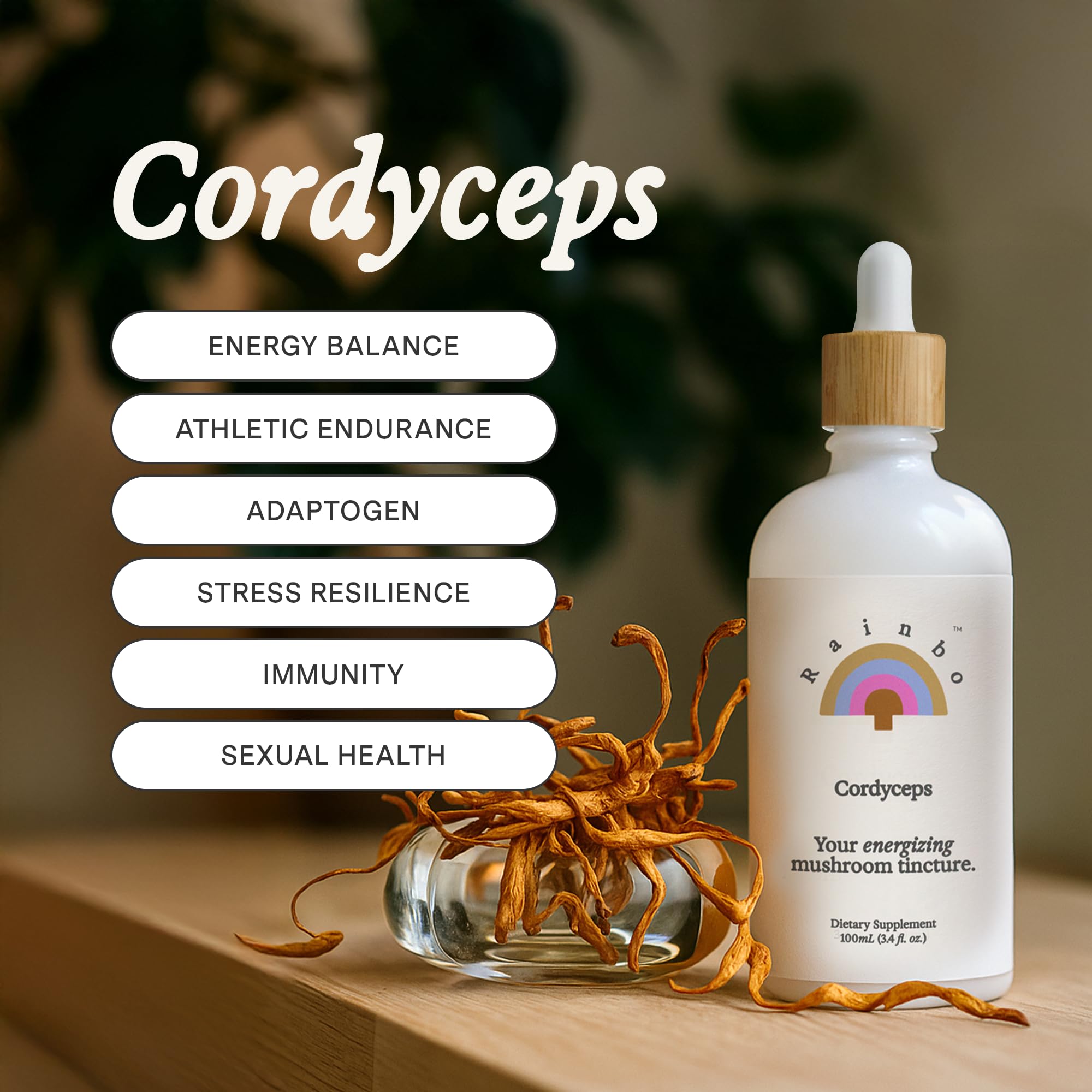 Rainbo Cordyceps tincture dropper enables precise dosing and fast absorption.