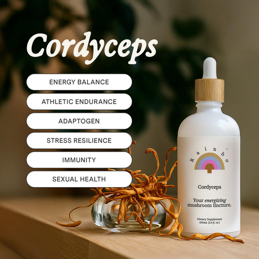 Rainbo Cordyceps tincture dropper enables precise dosing and fast absorption.