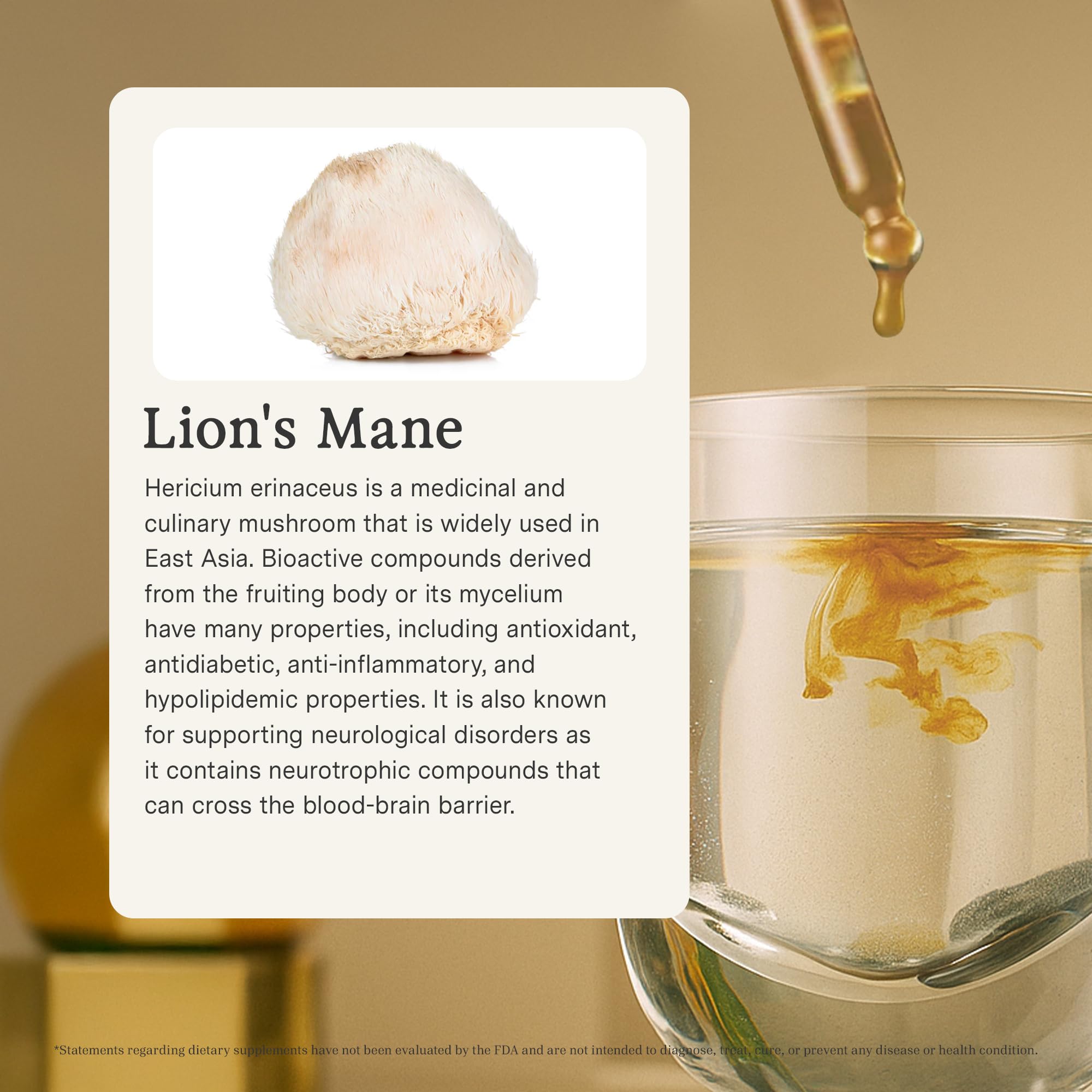 Rainbo Lion's Mane tincture label close-up, Canada-made.