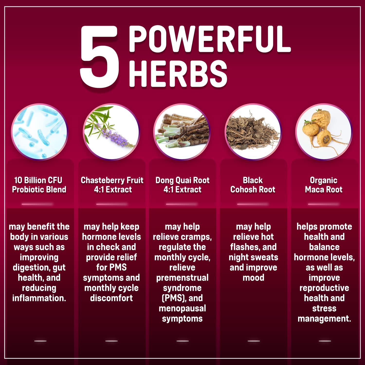 Rainbow Nutrients ingredient panel highlights chasteberry and probiotic blend