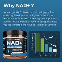 Rainbow Nutrients NAD+ Plus capsules ready for daily energy support.