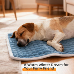 RAINOVA heating pad throw with 6-heat-settings control panel in action