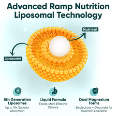 Ramp Nutrition vegan non-GMO badge shown with clean label messaging
