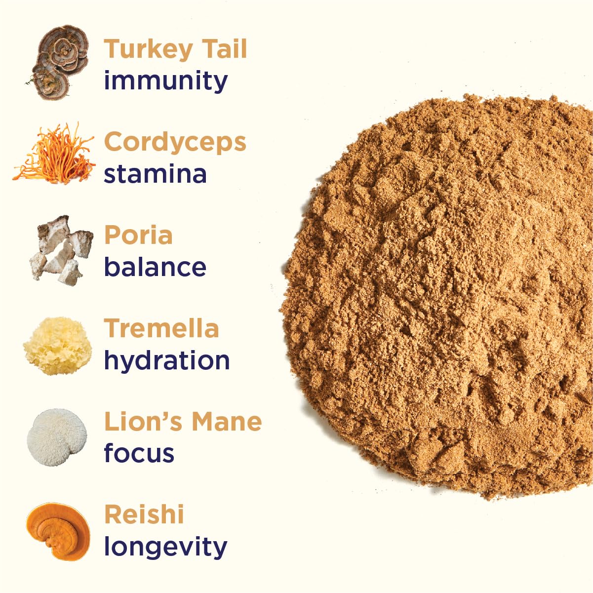 Rasa Magnificent Mushrooms powder dissolving smoothly in hot tea without grit