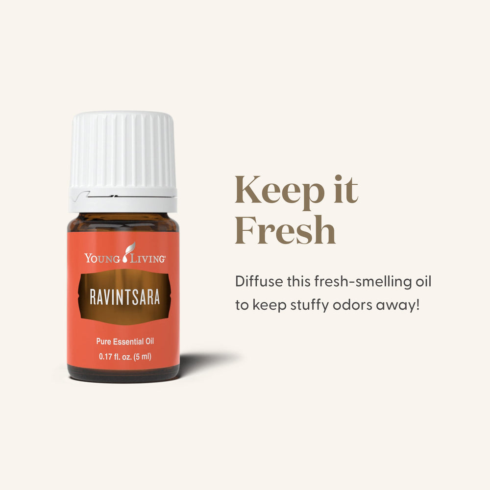 Ravintsara diffusion supports refreshing air during workouts and routines.