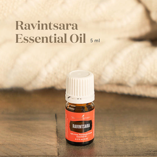 Ravintsara essential oil diffuser enhances meditation with a revitalizing aroma.