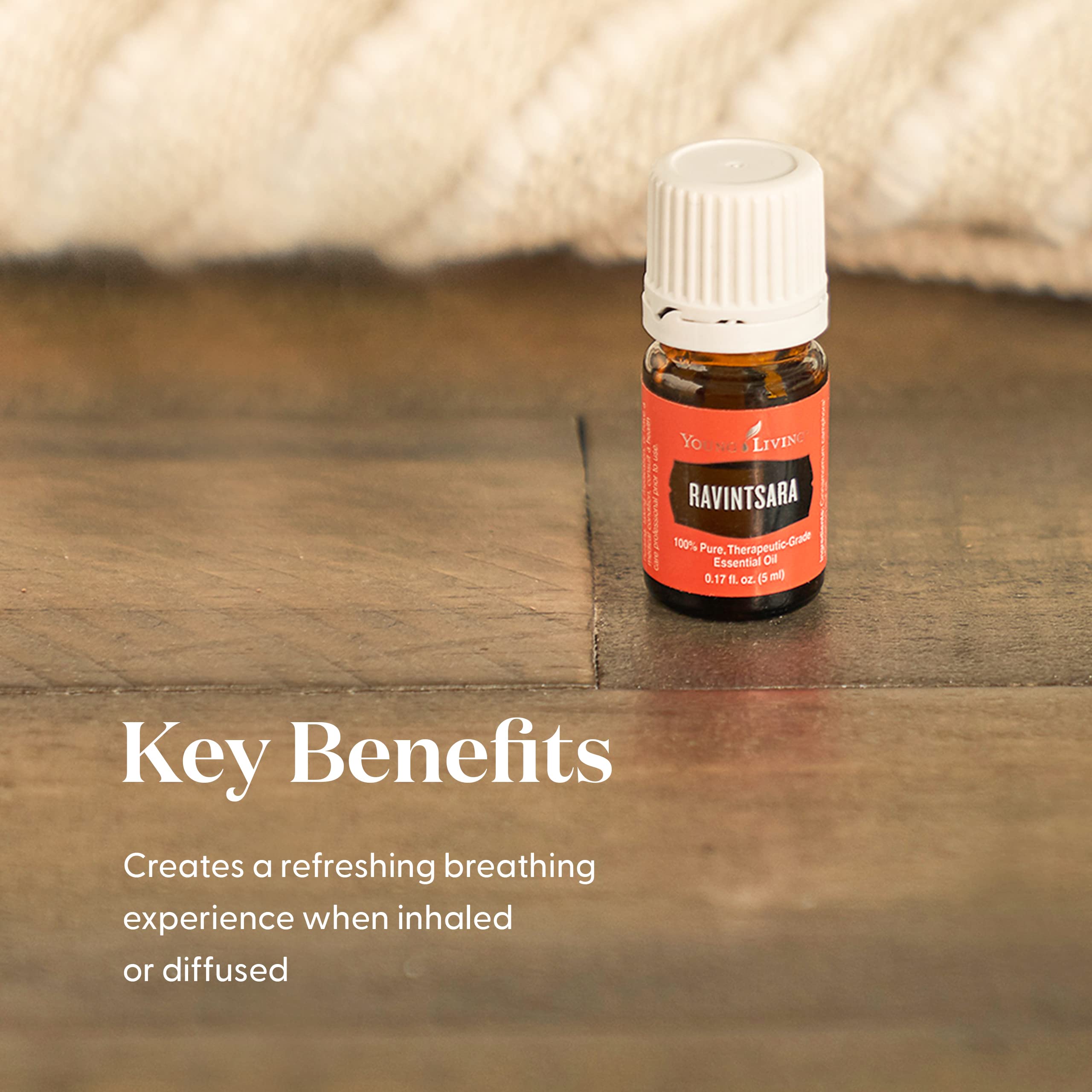 Ravintsara leaves steam-distilled into a fresh, natural scent.