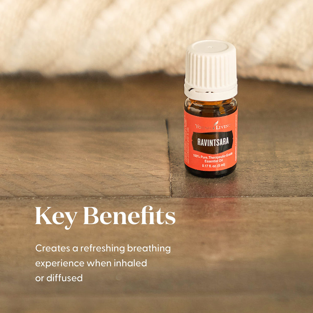 Ravintsara leaves steam-distilled into a fresh, natural scent.