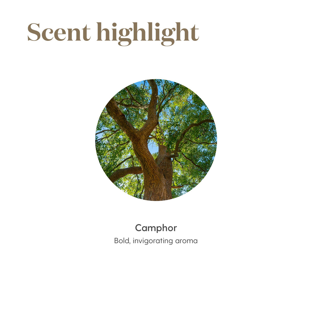 Young Living Ravintsara creates yoga and meditation atmosphere with brightness.
