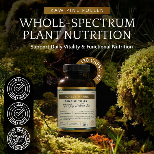 RAW Forest Foods Forest Manna capsules pour shows on-the-go convenience