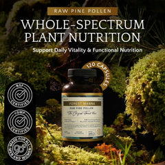 RAW Forest Foods Forest Manna capsules pour shows on-the-go convenience