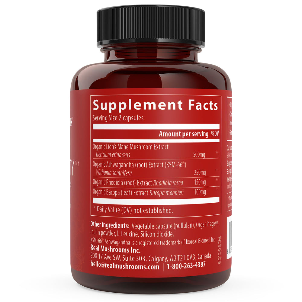 Real Mushrooms RealClarity lion's mane extract visual suggests natural cognitive support.