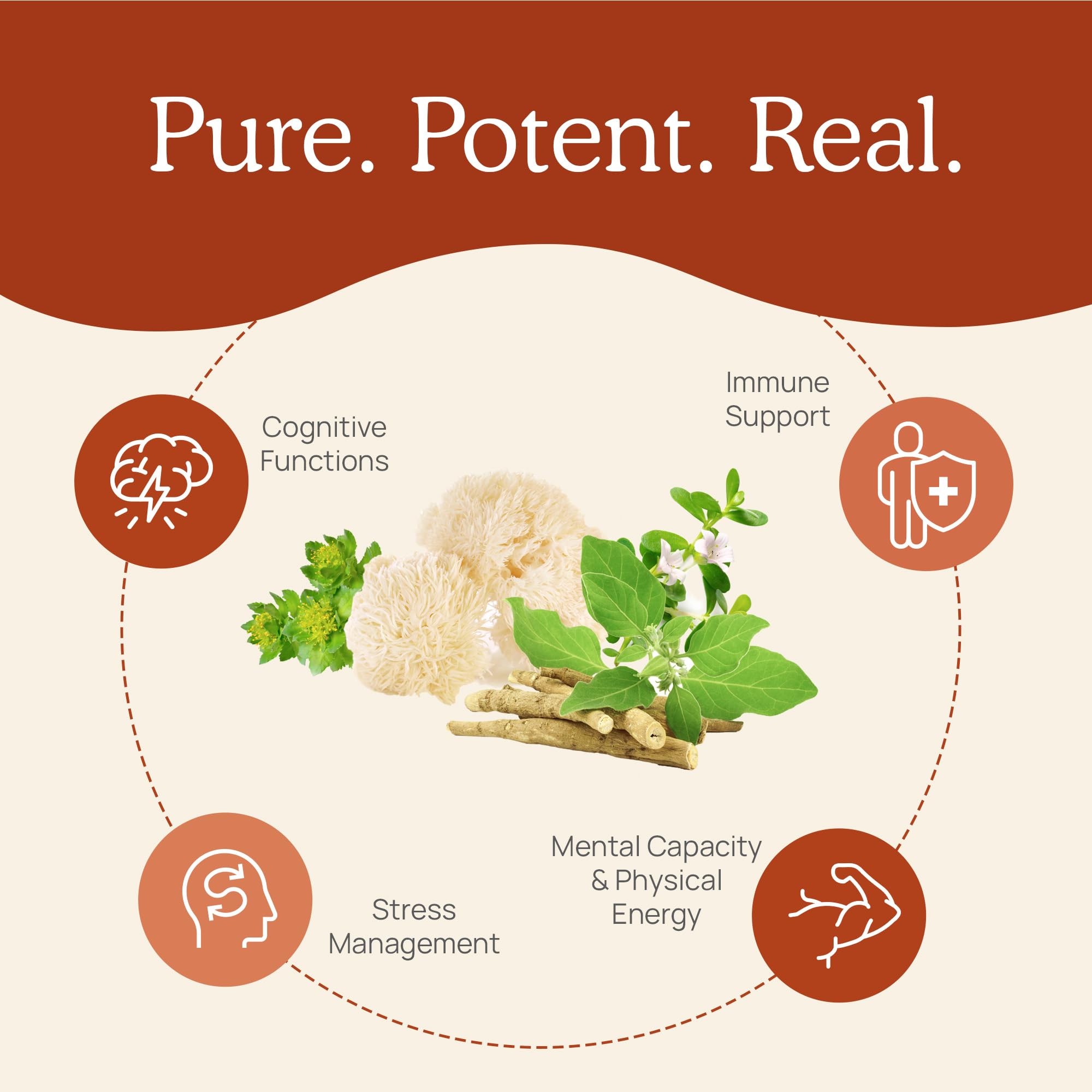 Real Mushrooms RealClarity rhodiola bacopa blend visual implies balanced energy and mood.