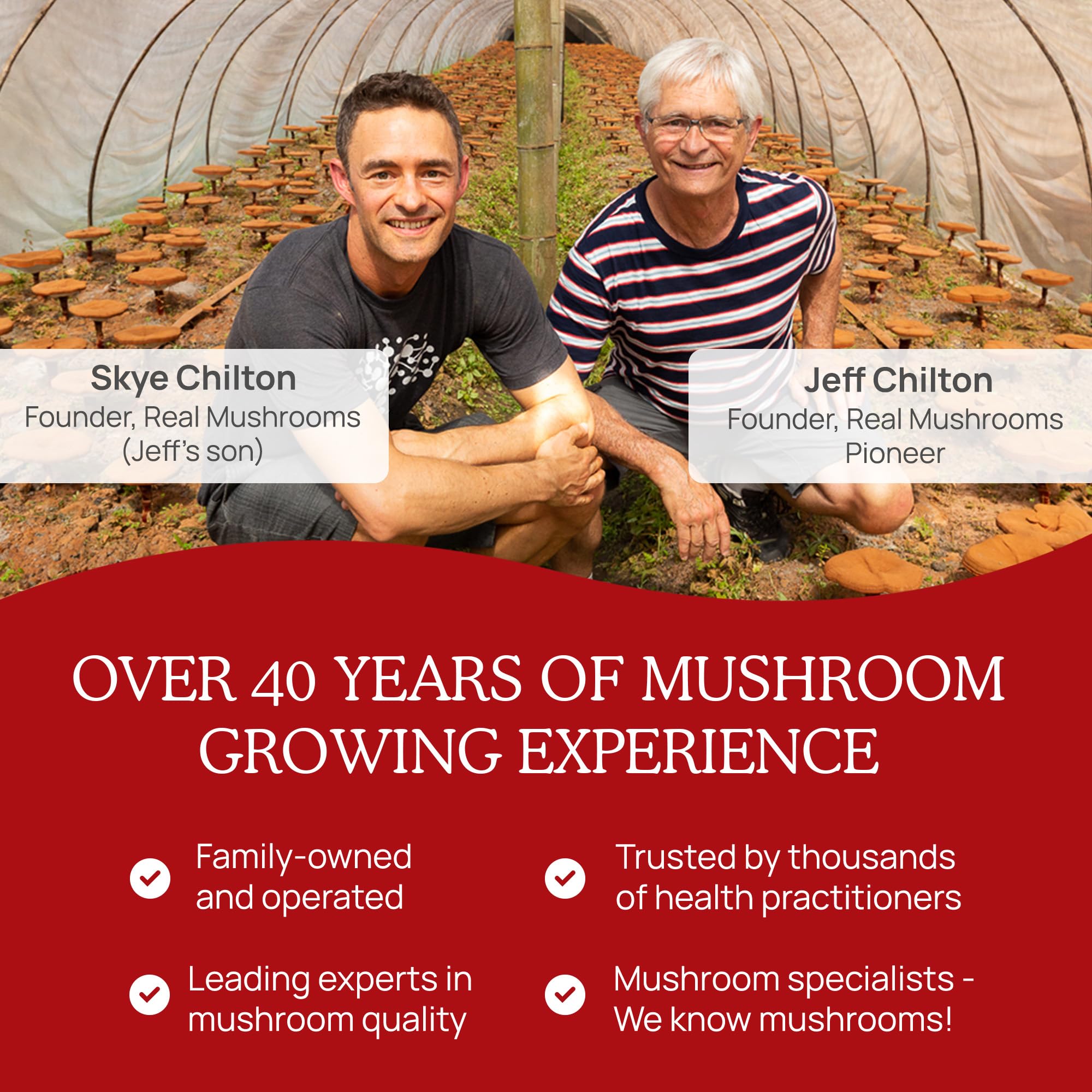 Real Mushrooms RealClarity USDA Organic label on bottle signals purity.