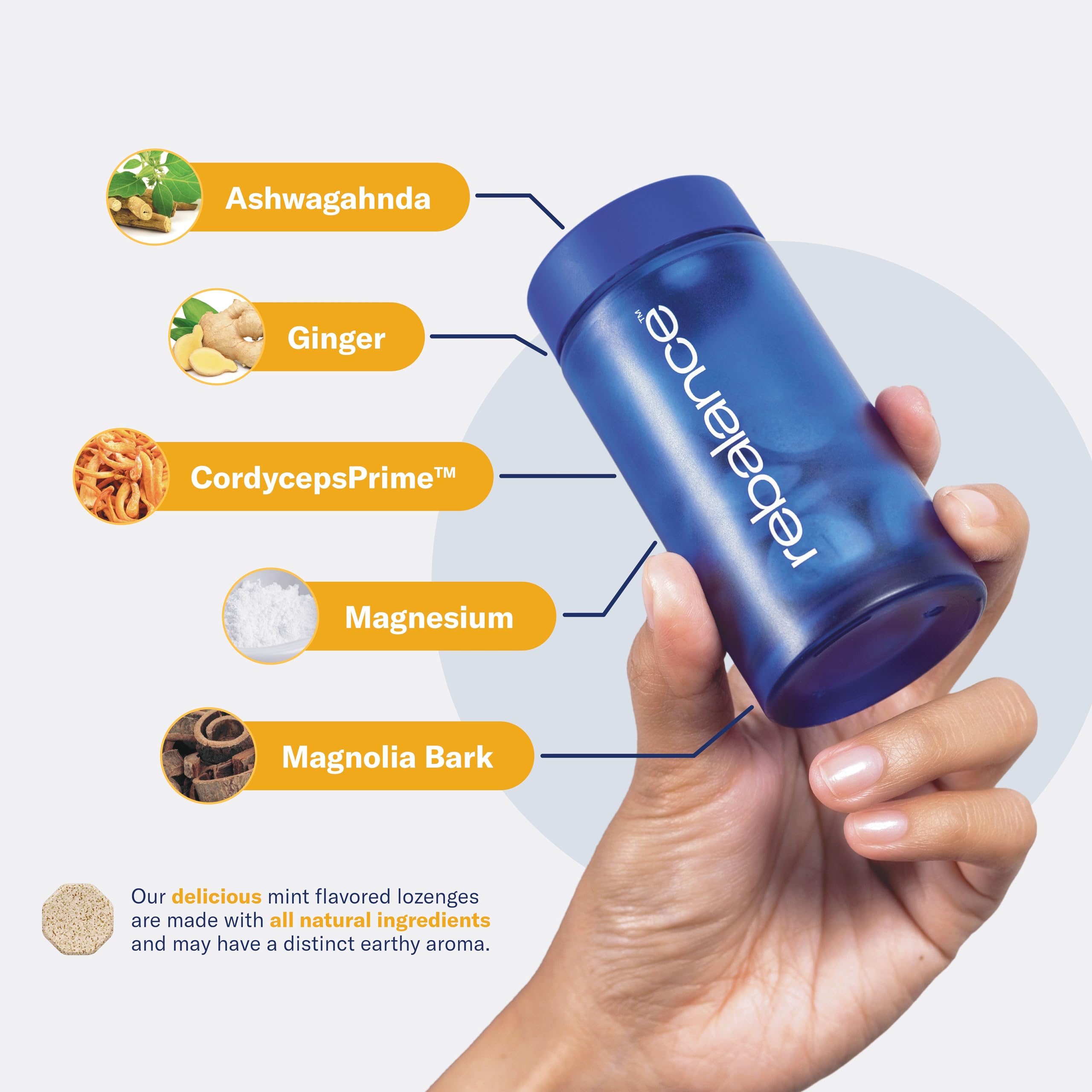 Ingredients graphic featuring magnesium, zinc, and adaptogens.