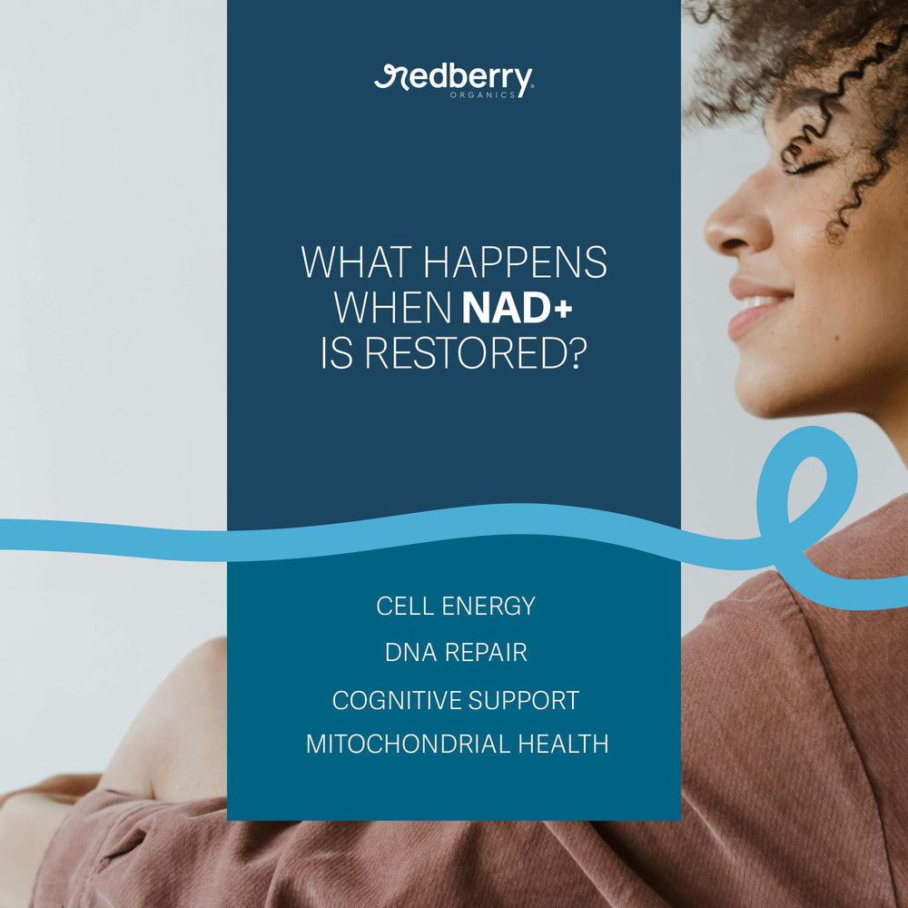 Redberry NAD+ Green Tea Extract detail signals polyphenol support