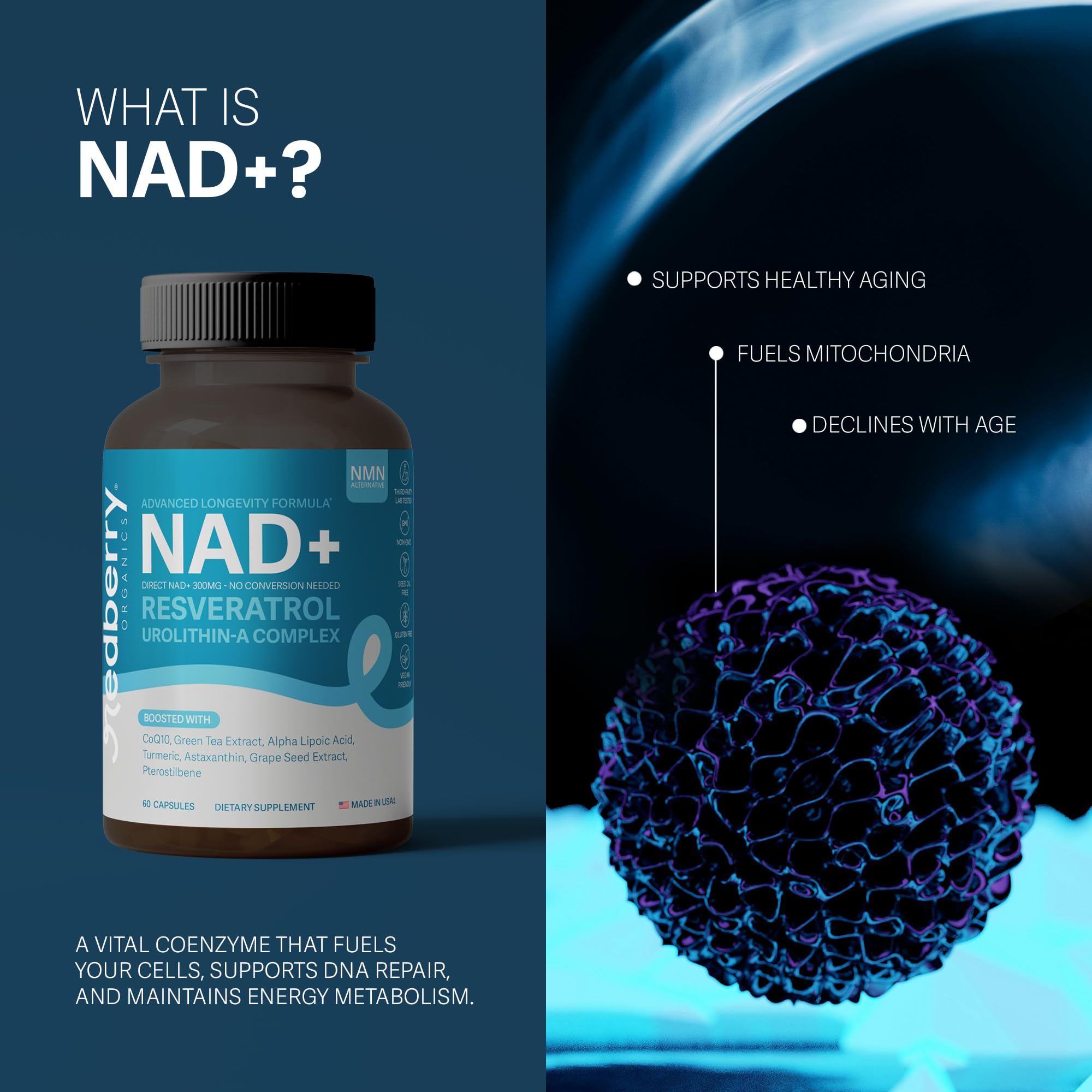Redberry NAD+ Resveratrol blend visual suggests antioxidant balance