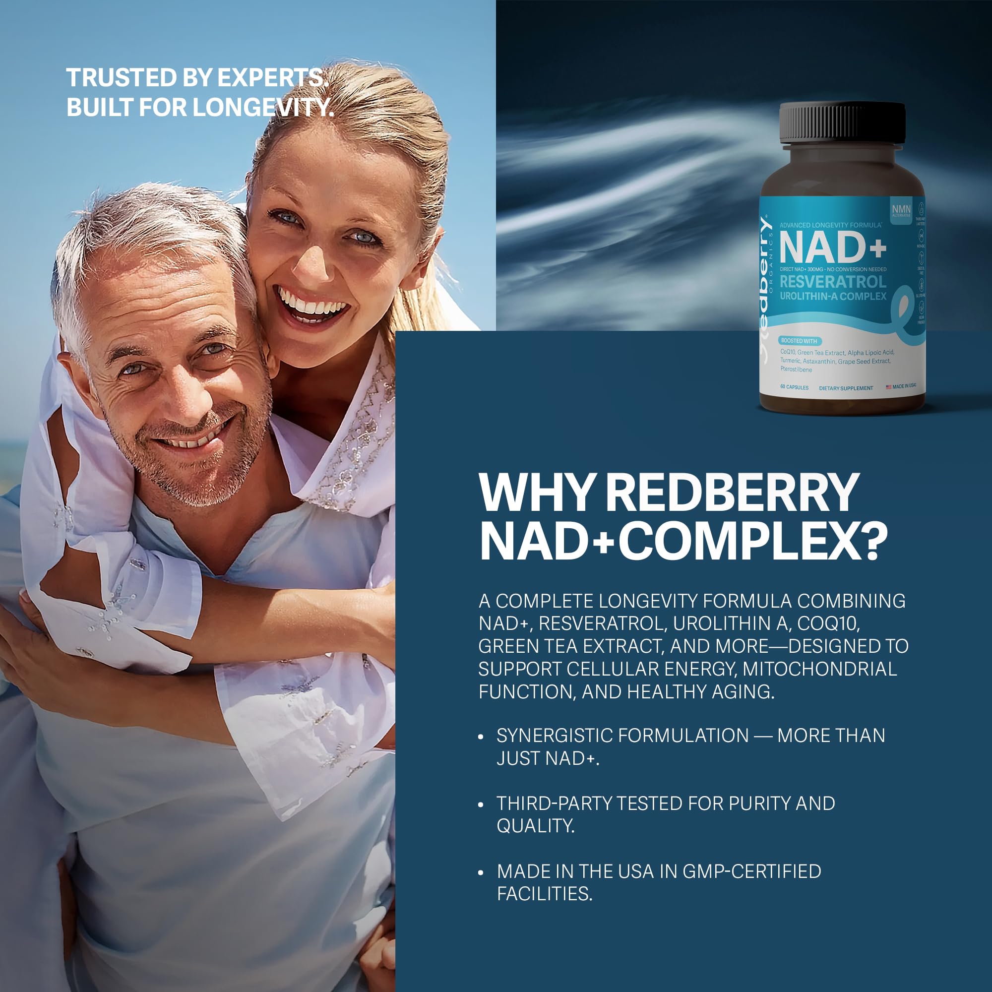 Redberry NAD+ Turmeric 10:1 capture reflects anti-inflammatory potential
