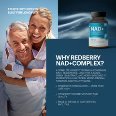 Redberry NAD+ Turmeric 10:1 capture reflects anti-inflammatory potential