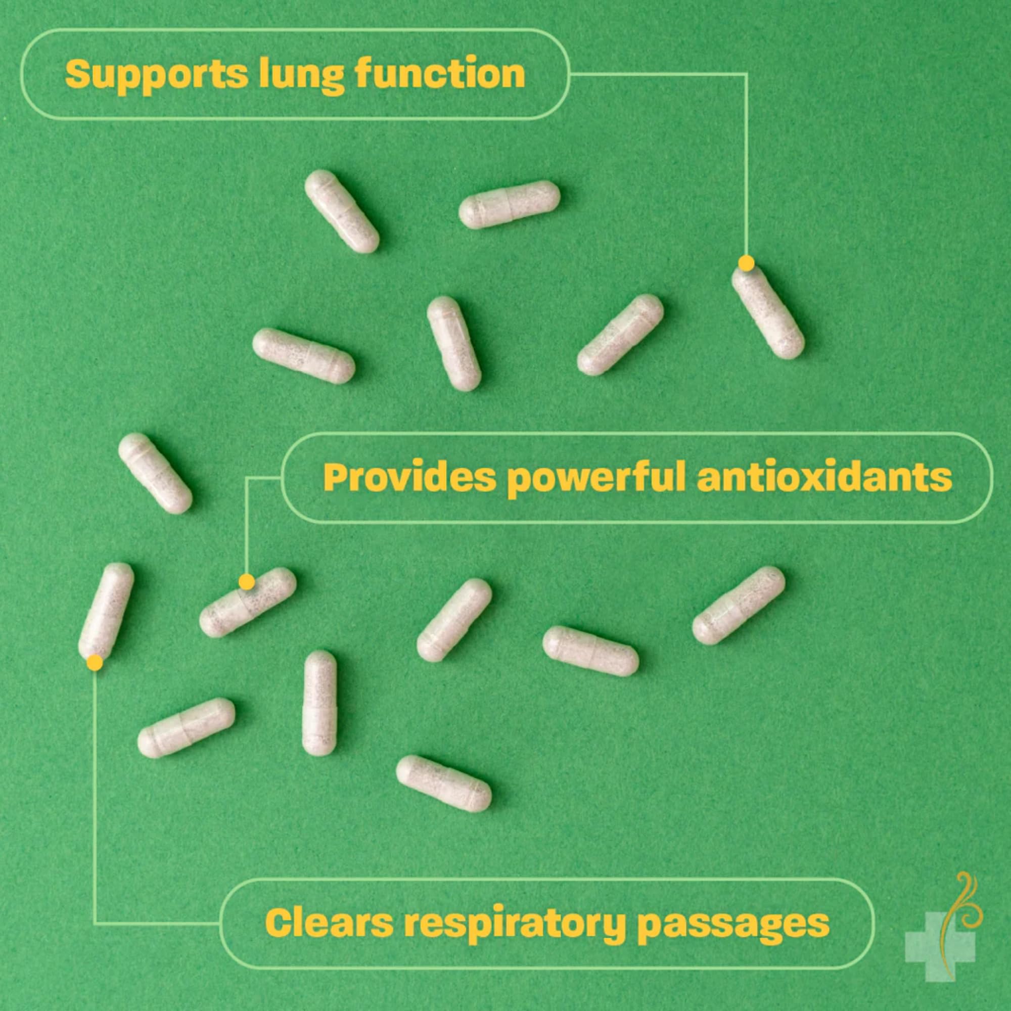 Redd Remedies Lung Care capsules for convenient vegan daily use.